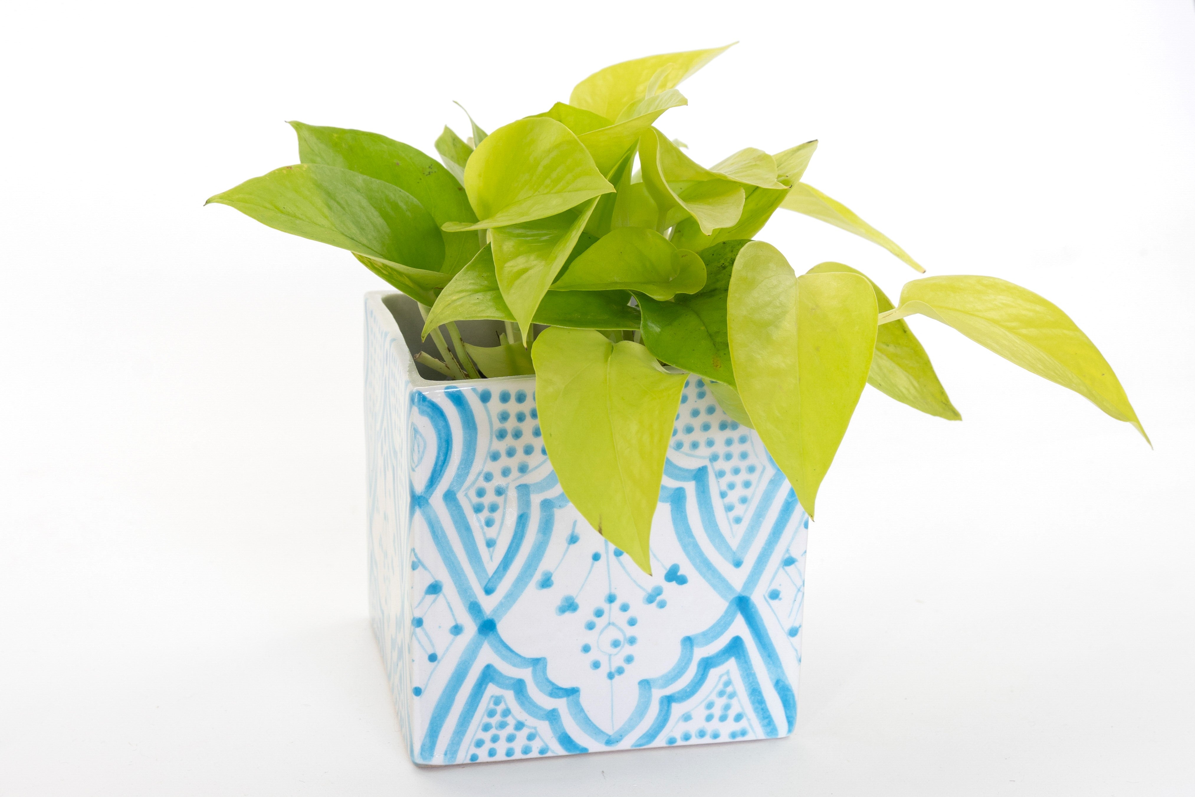 CUBIC planter TURQUOISE