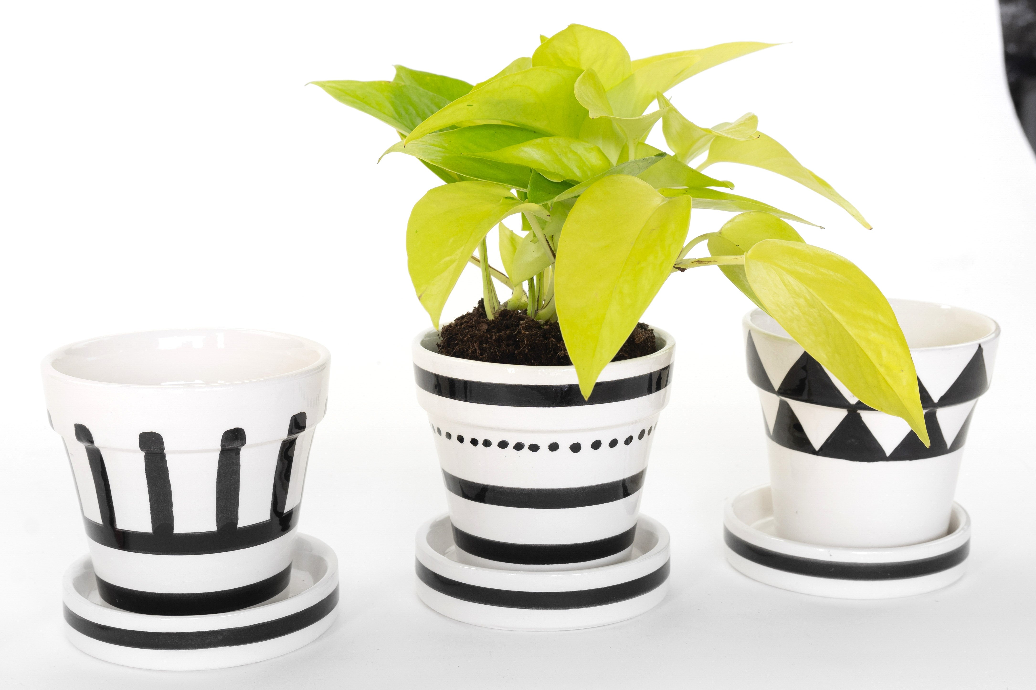 GRAPHIC PLANTER set of 3