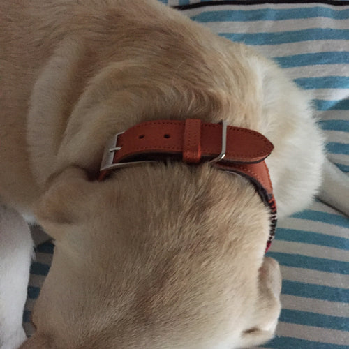 KILIM DOG COLLAR medium ORANGE