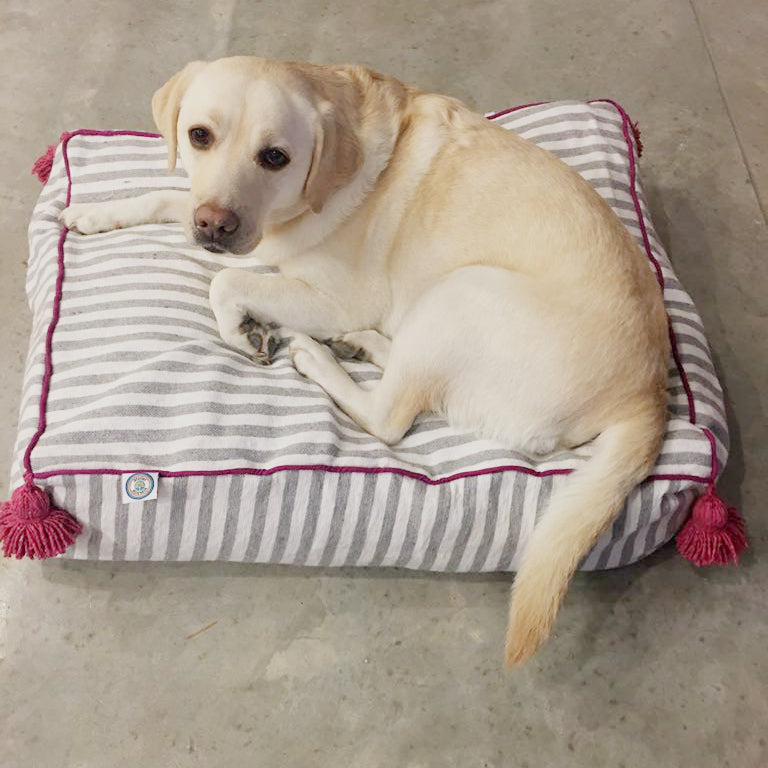 Pet Beds