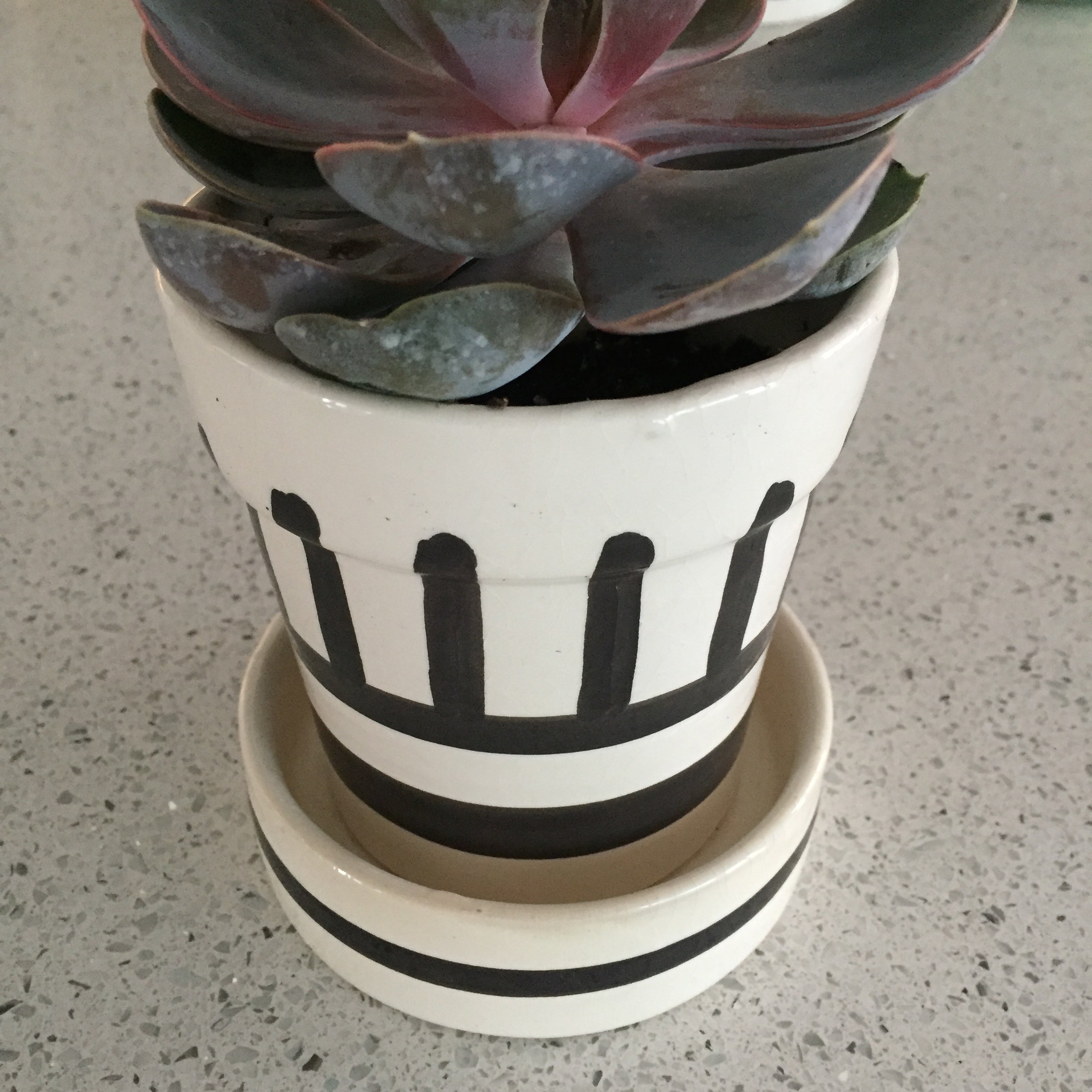 GRAPHIC PLANTER set of 2 with vertical stripes