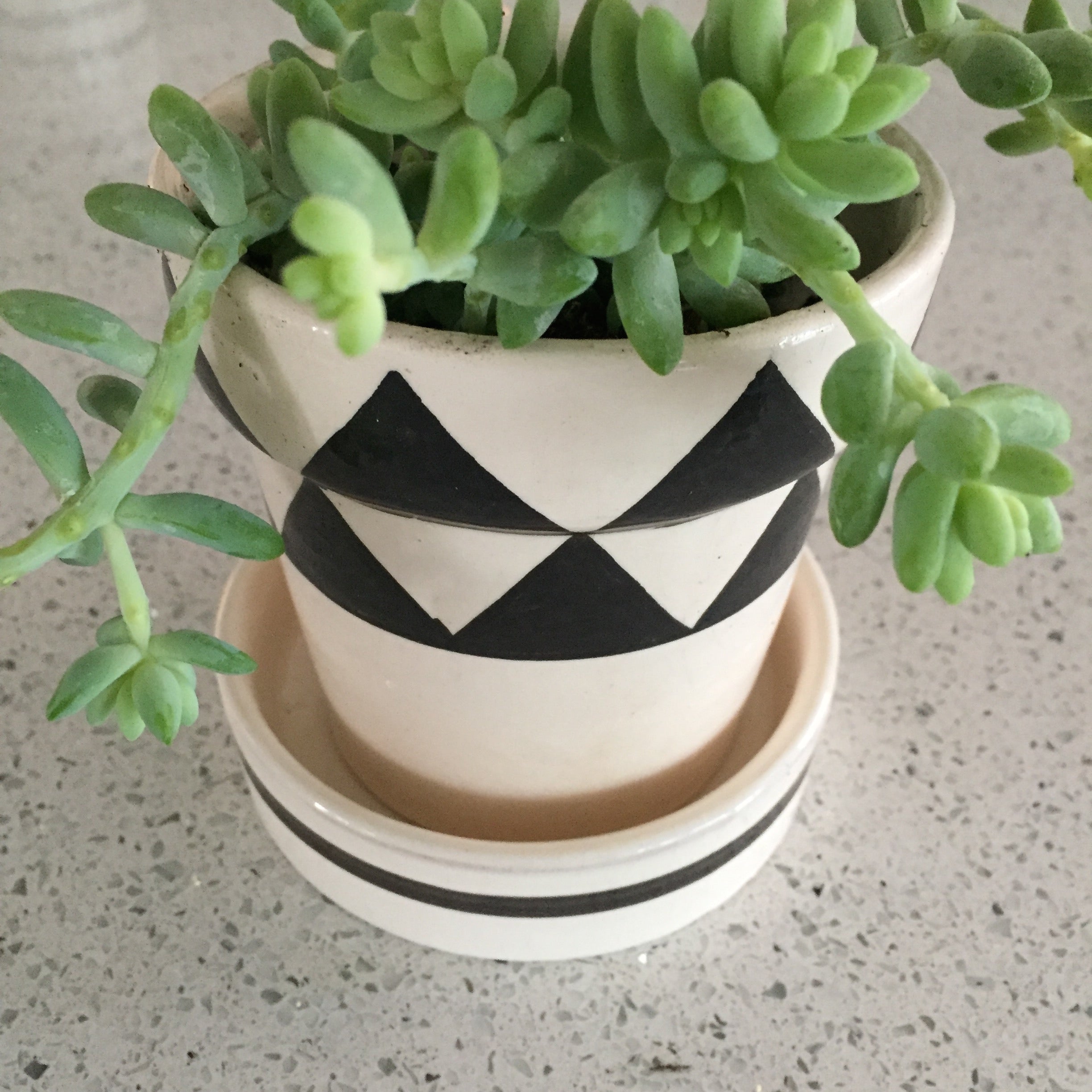 GRAPHIC PLANTER set of 2 with triangles and horizontal stripes