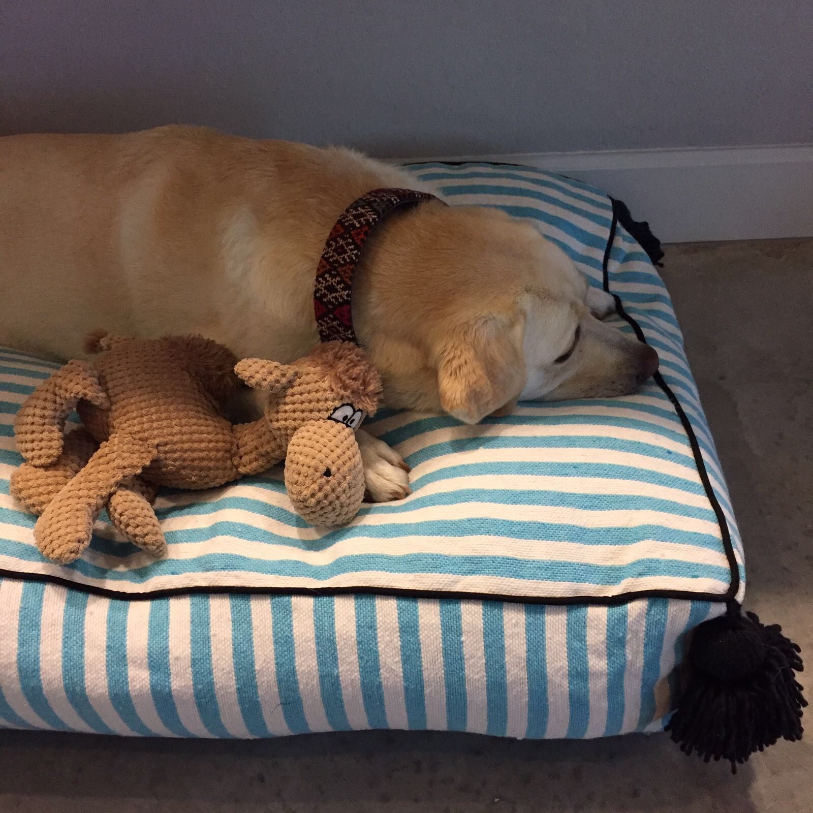MARTHA PET BED large TURQUOISE/WHITE/BLACK