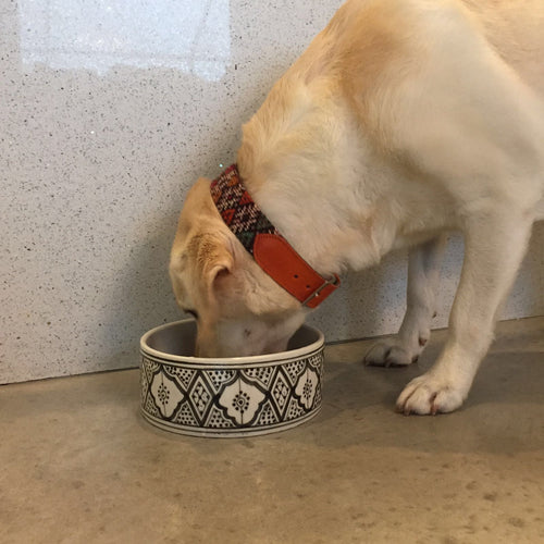 PET BOWL large GRAY