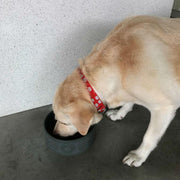 Pet Bowl Large Dark - atelierBoemia - atelierboemia.com