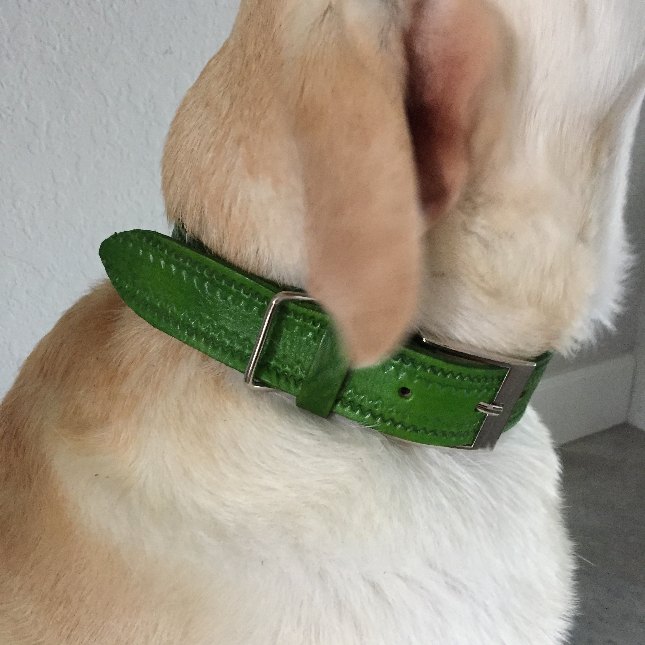LEATHER DOG COLLAR small GREEN
