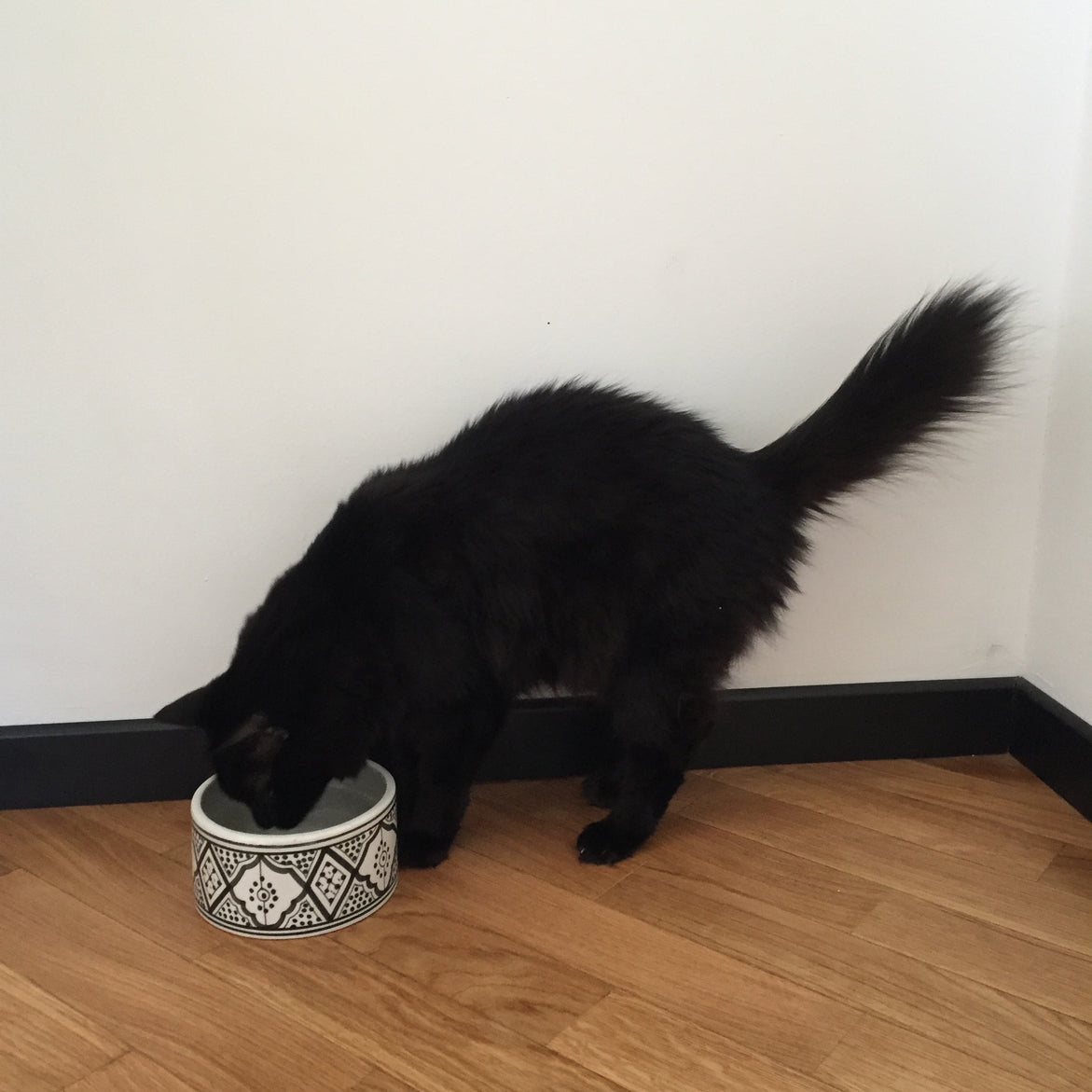 PET BOWL small GRAY