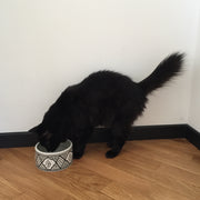 PET BOWL small GRAY