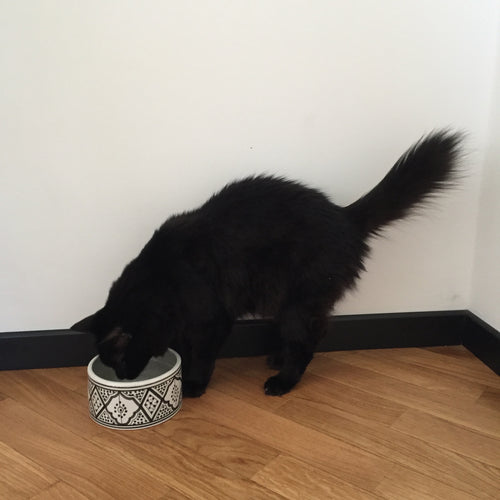 PET BOWL small GRAY