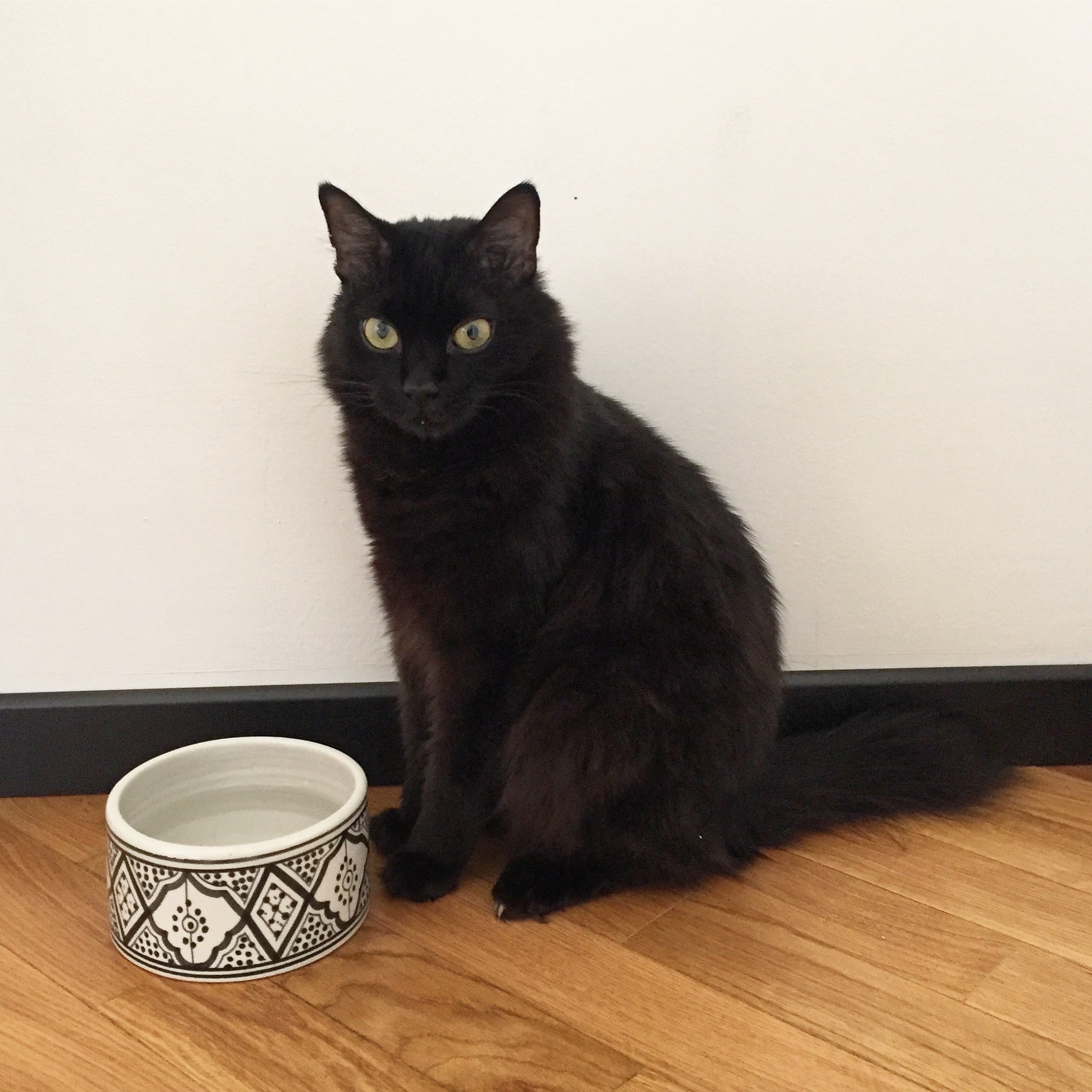 PET BOWL small GRAY